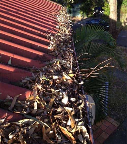 Leaves and debris clogging roof guttering. A roof in need of maintenance.